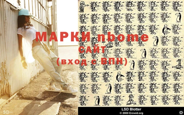 spice Новодвинск