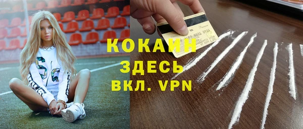 амф Новозыбков