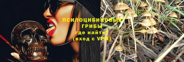 ALPHA-PVP Всеволожск
