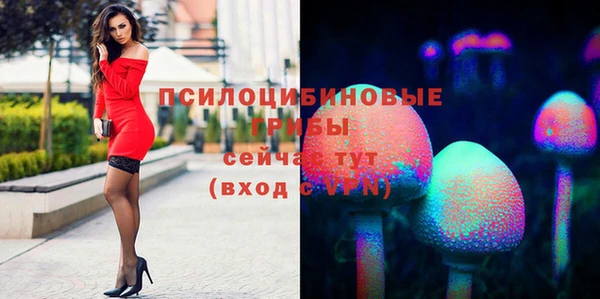 кокс Новокубанск