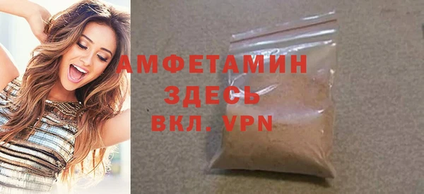 амф Новозыбков