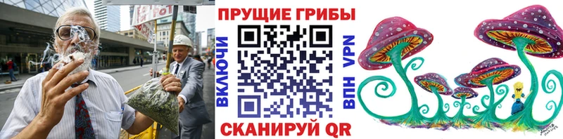 Галлюциногенные грибы Psilocybe  Искитим 