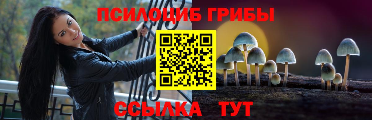 Галлюциногенные грибы Cubensis Искитим